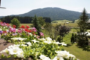 A garden with a variety of flowers in the foreground and a mountain in the background. - Holiday apartment with 1 bedroom (Leutasch)