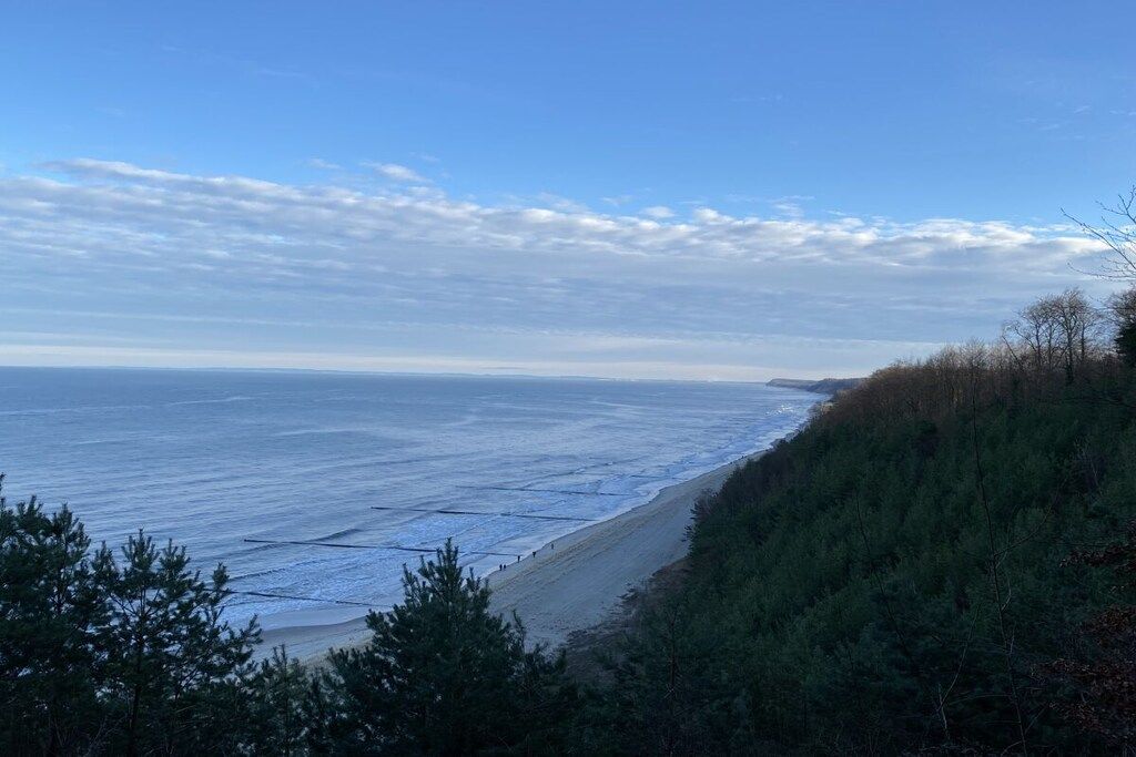 A coastal landscape with a beach, ocean, and forested area.
