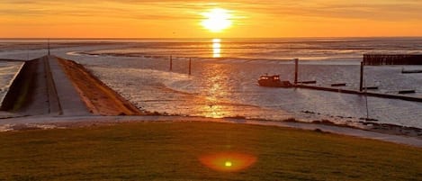 A coastal sunset view with a boat on the water, a pier, and a grassy area.