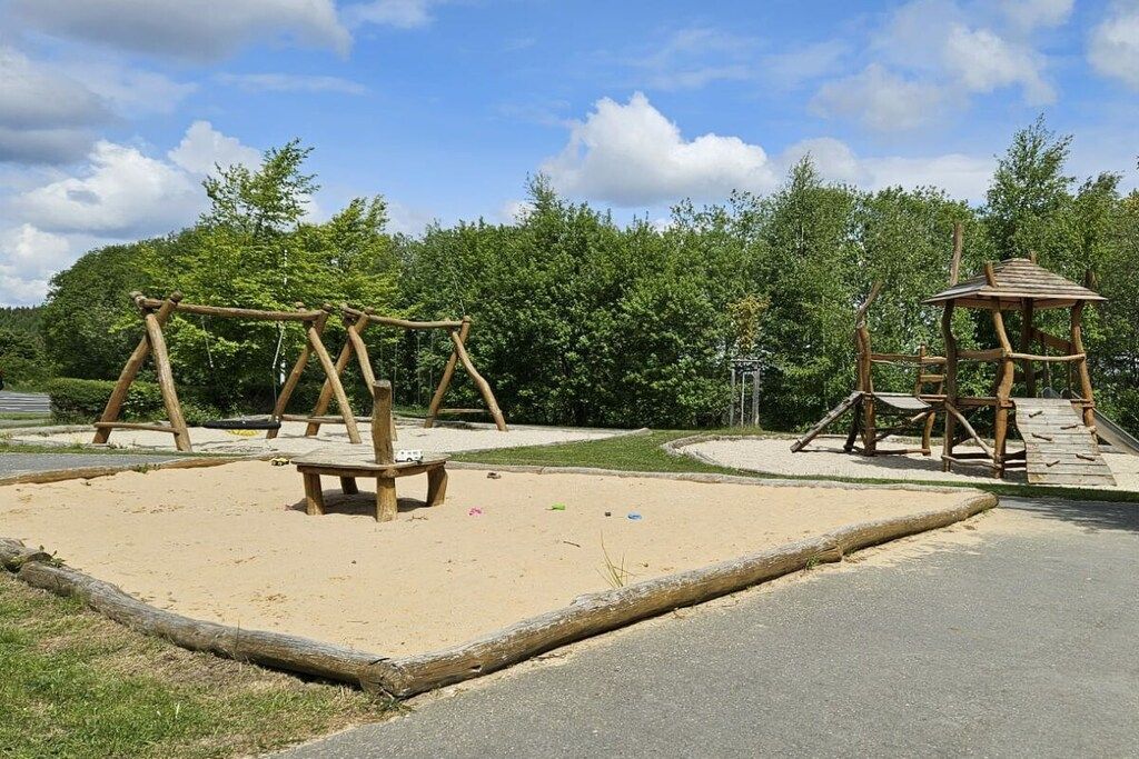 Een speeltuin met een schommel en een klimrek.
