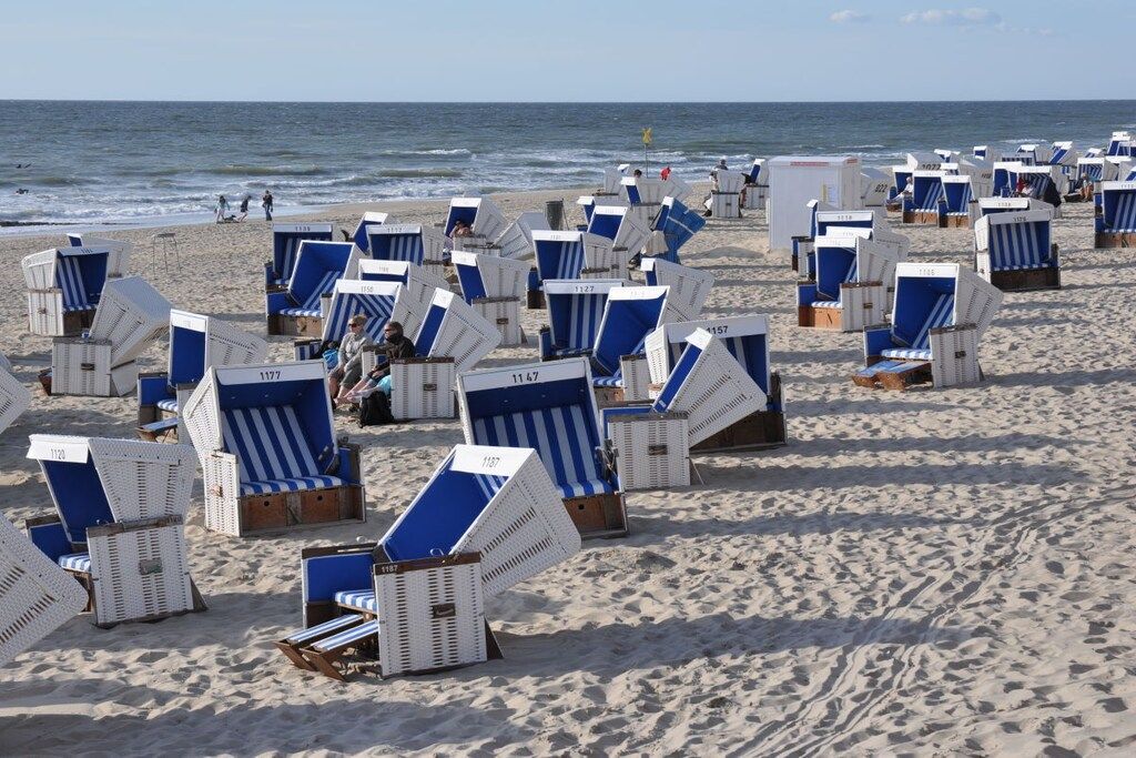 A beach with rows of numbered beach chairs.