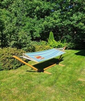 A hammock in a grassy area with dense trees in the background.