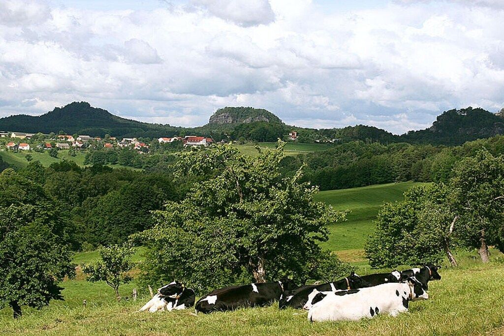 A rural landscape with cows grazing, trees, and a distant village.