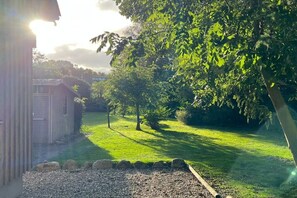 A grassy yard with a wooden shed and a large tree. - Holiday apartment with 2 bedrooms (Fehmarn)