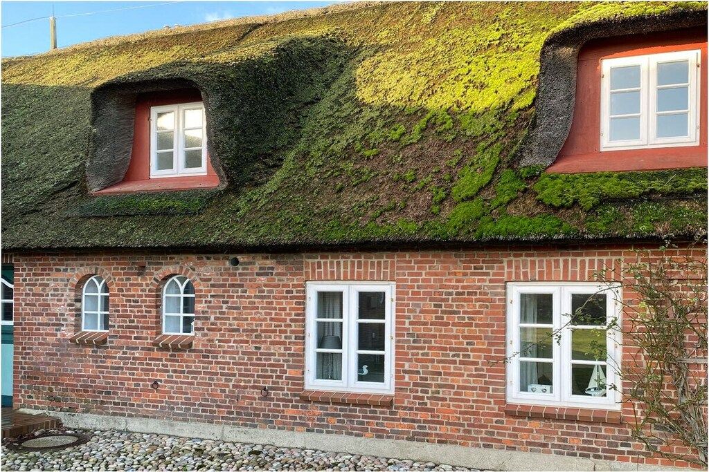 A traditional brick house with a thatched roof and multiple windows.