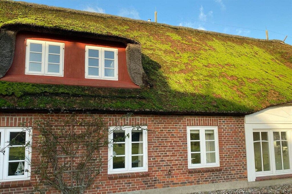 A traditional brick house with a thatched roof and white-framed windows.
