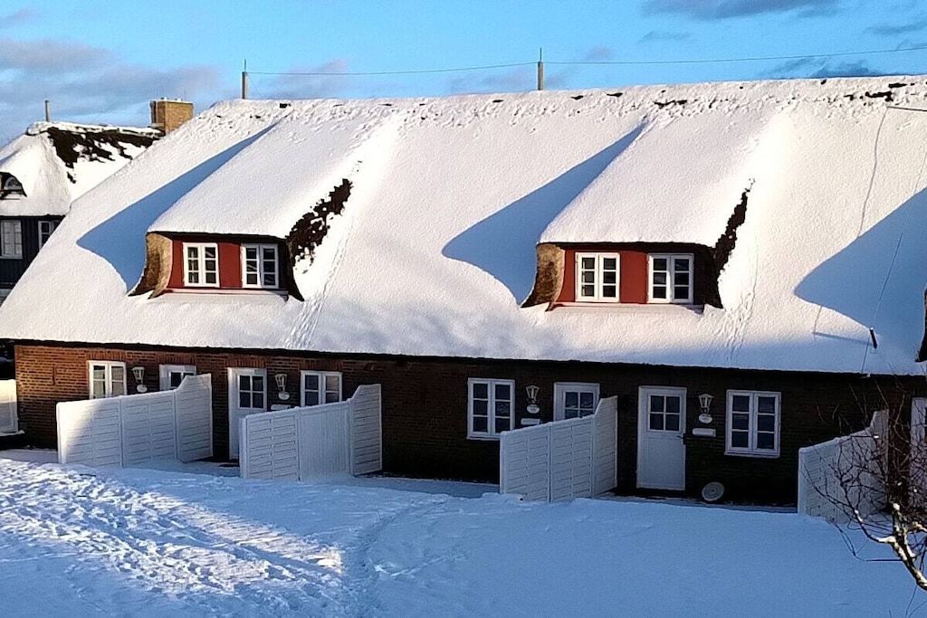 Een rij huizen met steile, met sneeuw bedekte daken, wat wijst op een koud klimaat.