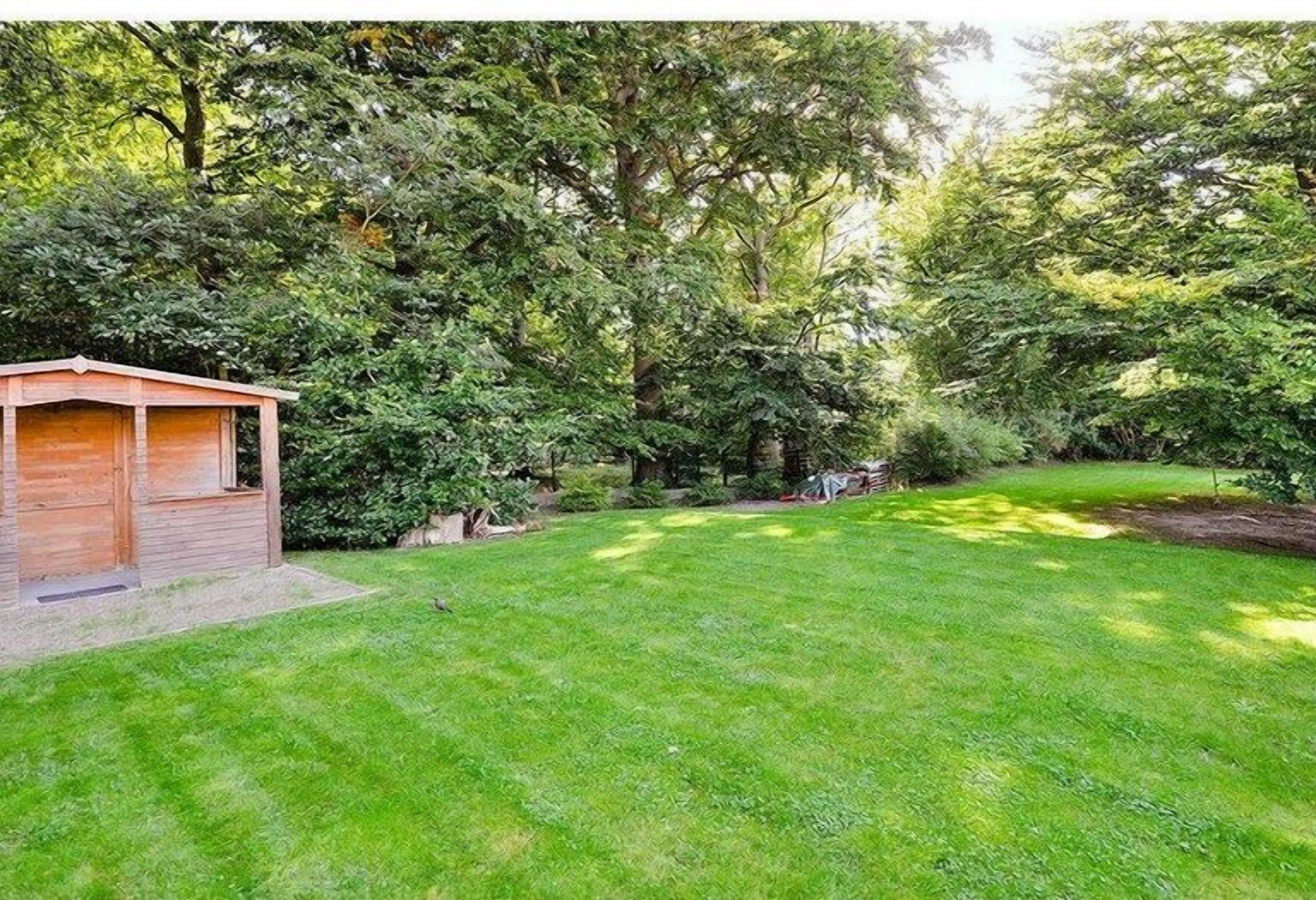 A well-maintained grassy area with a wooden structure, possibly a shed or storage unit, surrounded by dense trees.