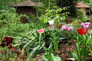 Ein Garten mit verschiedenen Blumen und einem rustikalen Gebäude im Hintergrund.