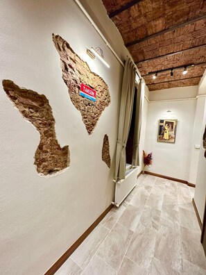 A hallway with exposed brick walls, a radiator, and a door with a curtain. - Historic 2BRApt. with 2 Bathrooms, Turkish Bath & 3AC @Taksim (Istanbul)