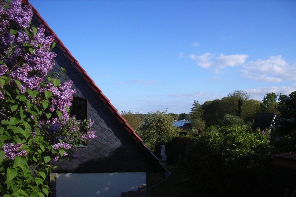 A house with a sloped roof, a window, and a garden with purple flowers.