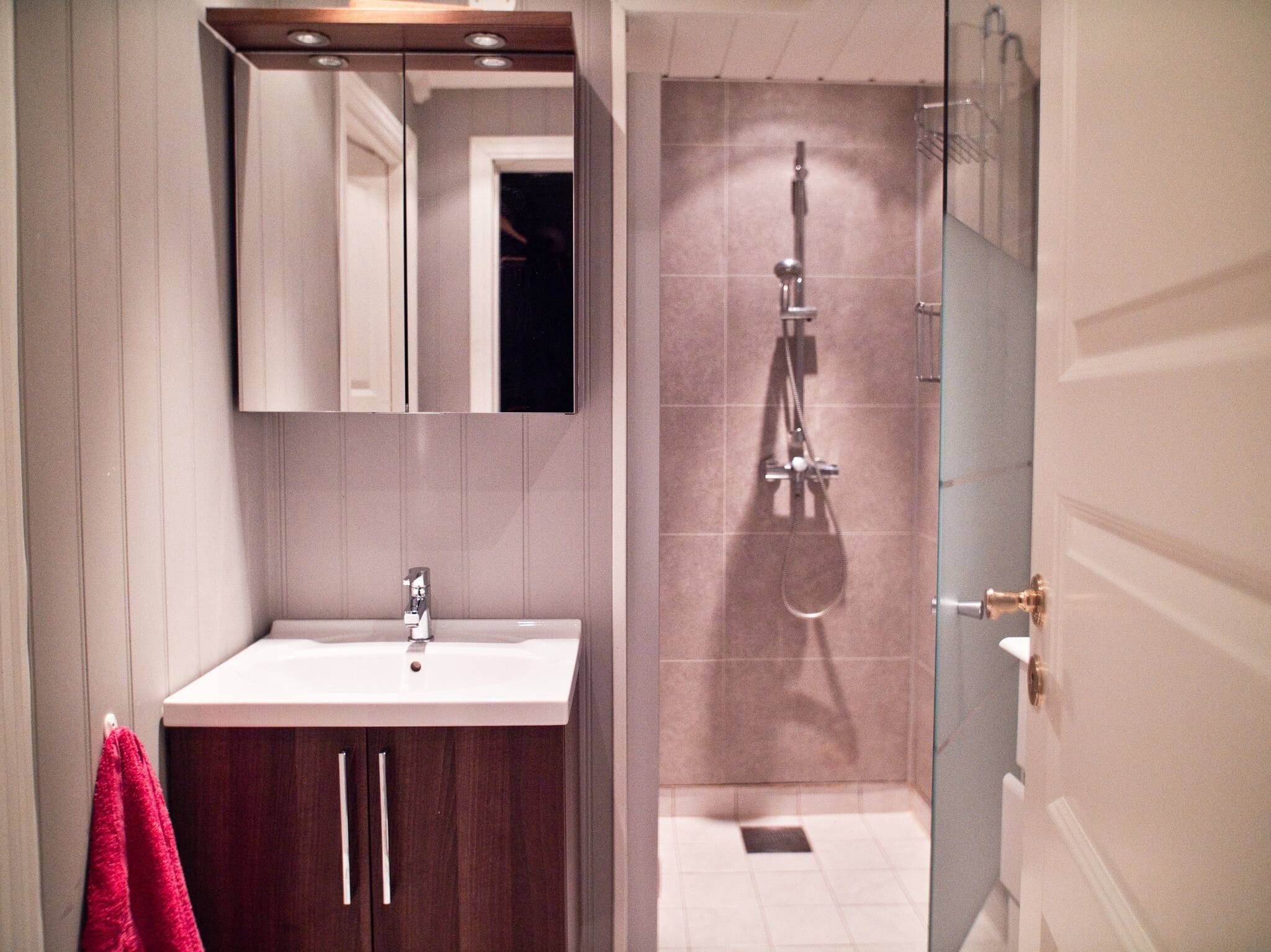 A bathroom with a sink, mirror, and shower.