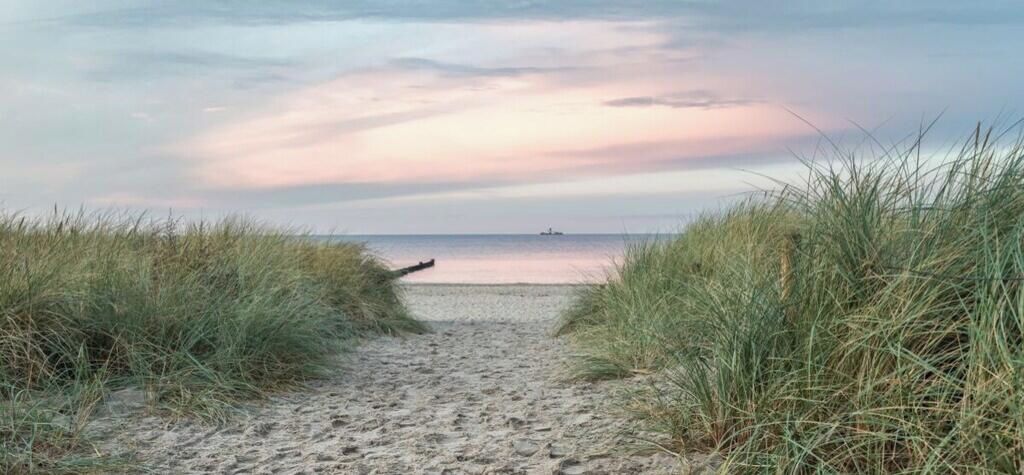 A sandy beach path leading to the sea with grass on either side.