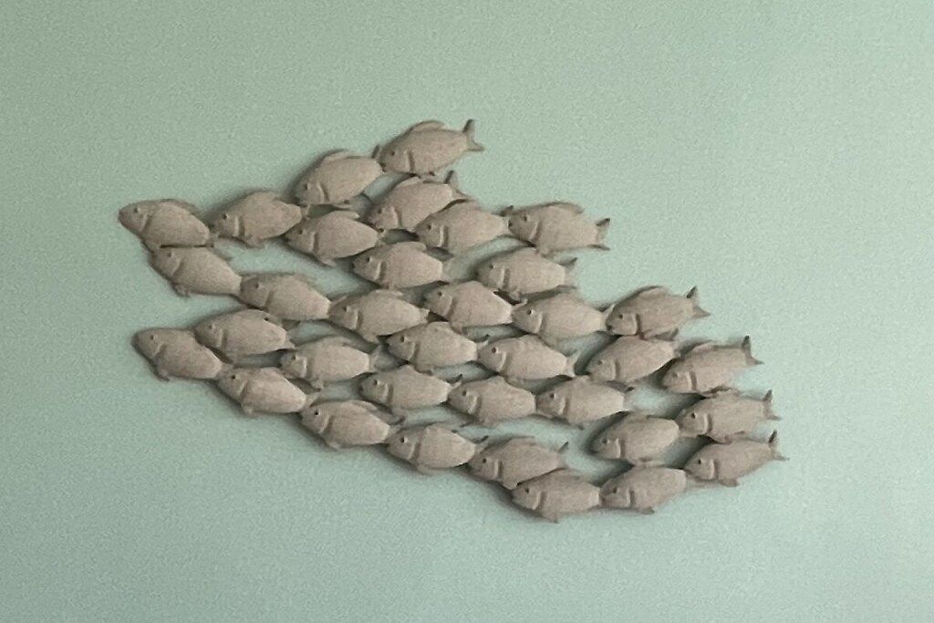 A collection of fish-shaped objects arranged in a pattern.