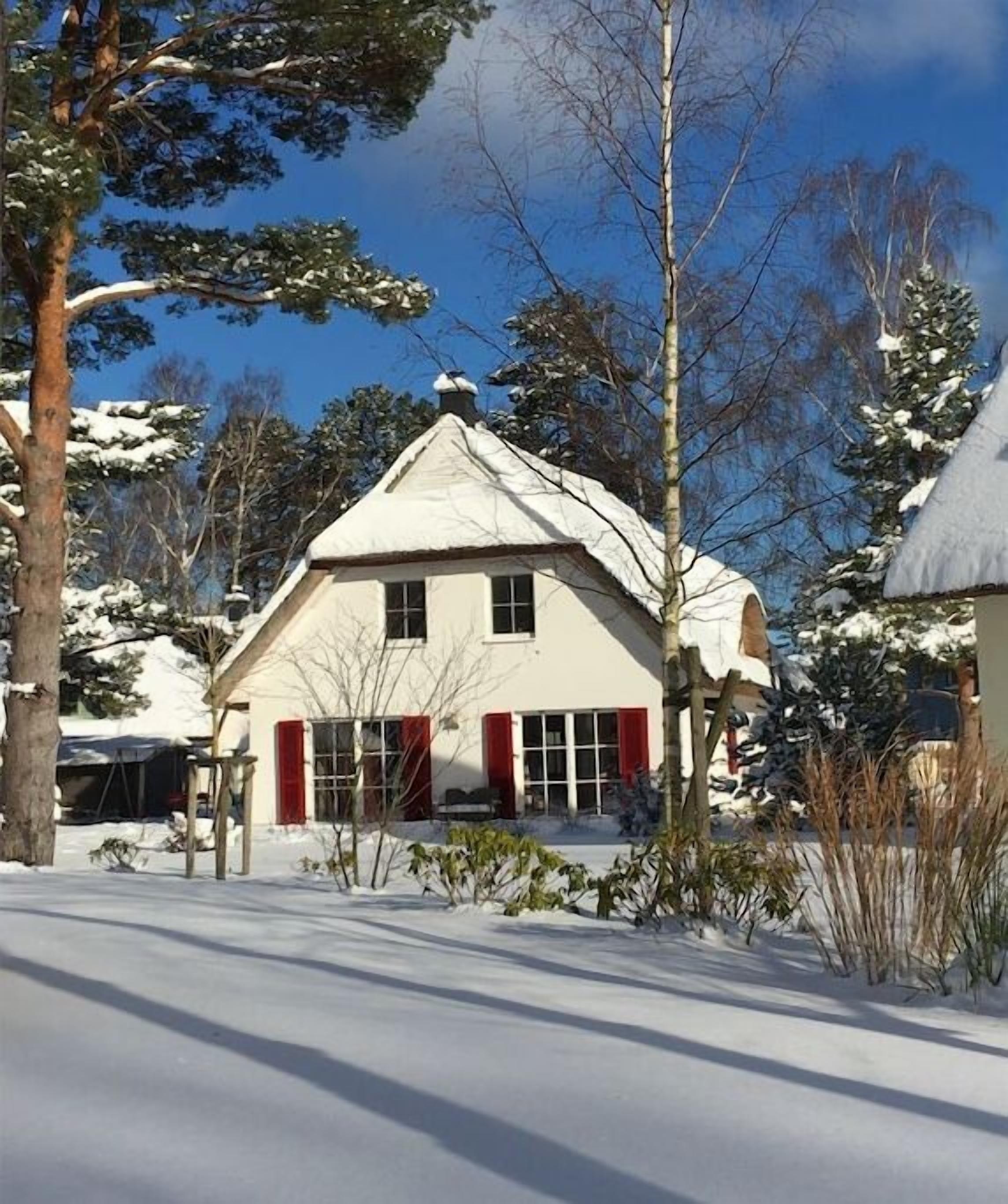 Una casa cubierta de nieve con techo a dos aguas y chimenea, rodeada de árboles cargados de nieve.
