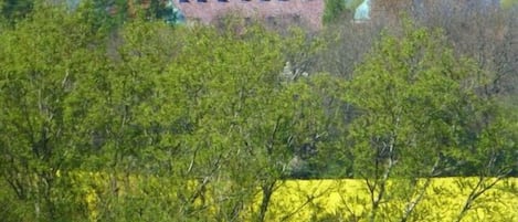 Um edifício com telhado vermelho, rodeado por árvores e um corpo de água.