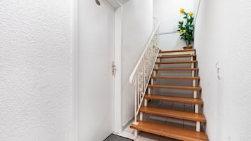 A staircase with wooden steps and white railings, leading to a landing with a potted plant.