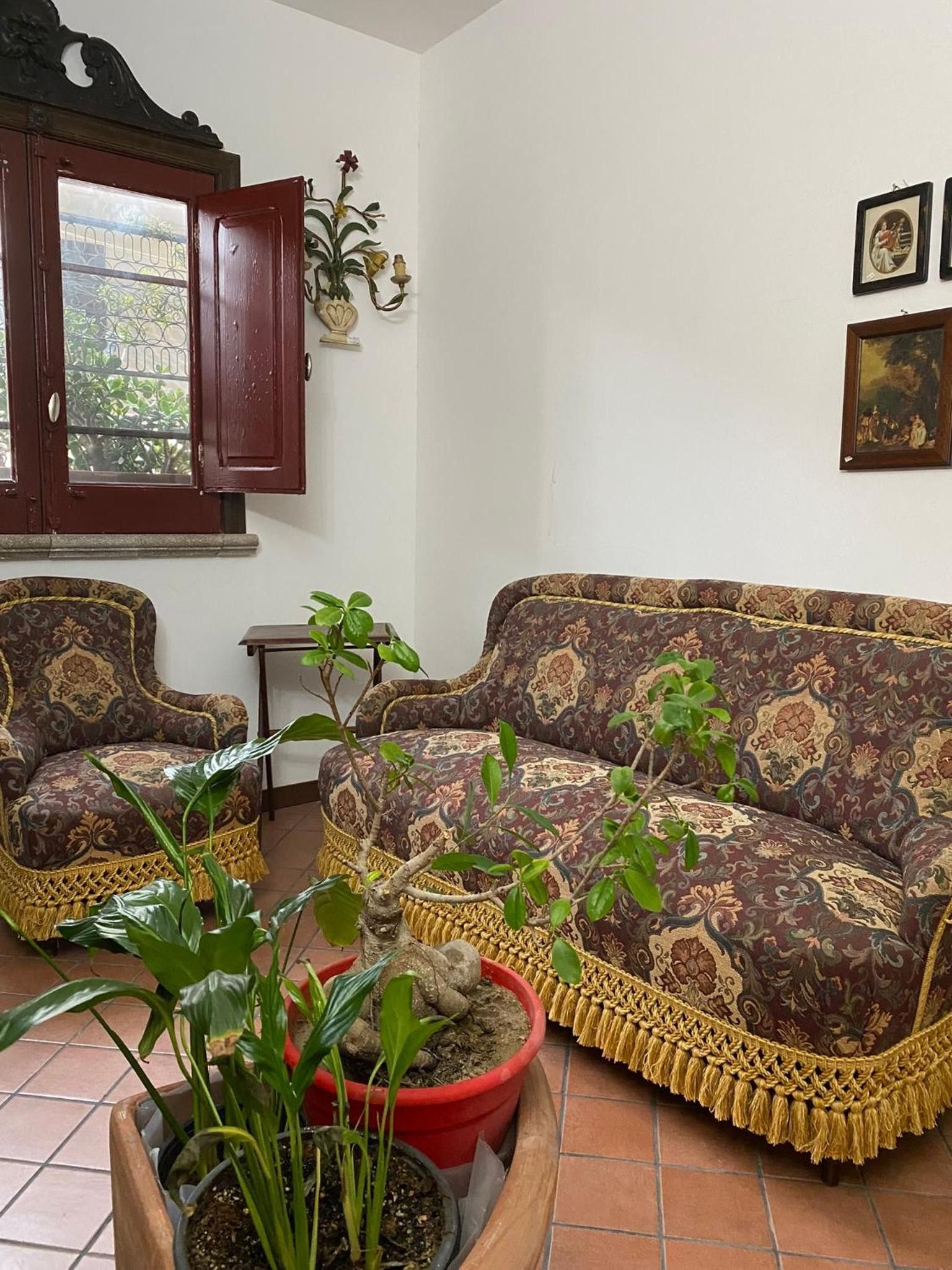 A living room with a patterned sofa, two armchairs, a wooden cabinet with a glass door, and a potted plant.