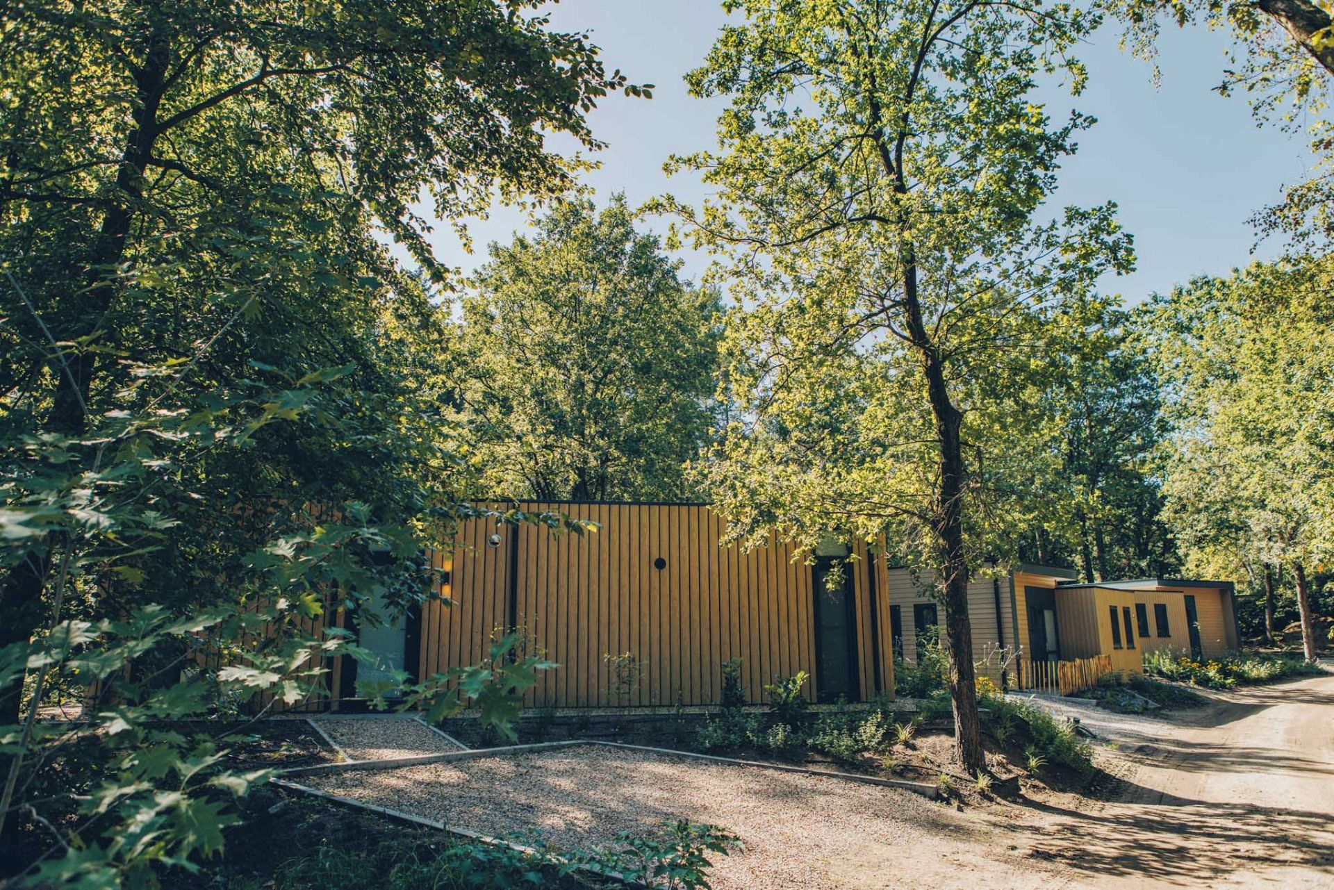 A modern building with a wooden facade, surrounded by dense foliage and a gravel path.