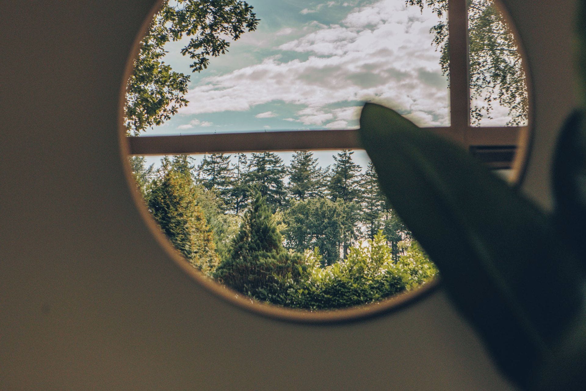 Ein Fenster mit Blick auf einen Wald und einen bewölkten Himmel.