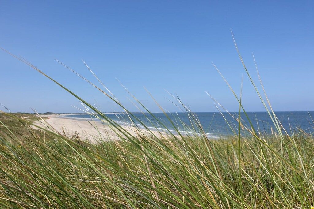 A beach with sand and grass in the foreground and a clear blue sky.