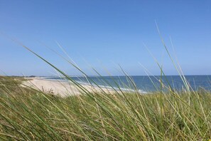 A beach with sand and grass in the foreground and a clear blue sky. - Holiday paradise sea air (Kamperland)