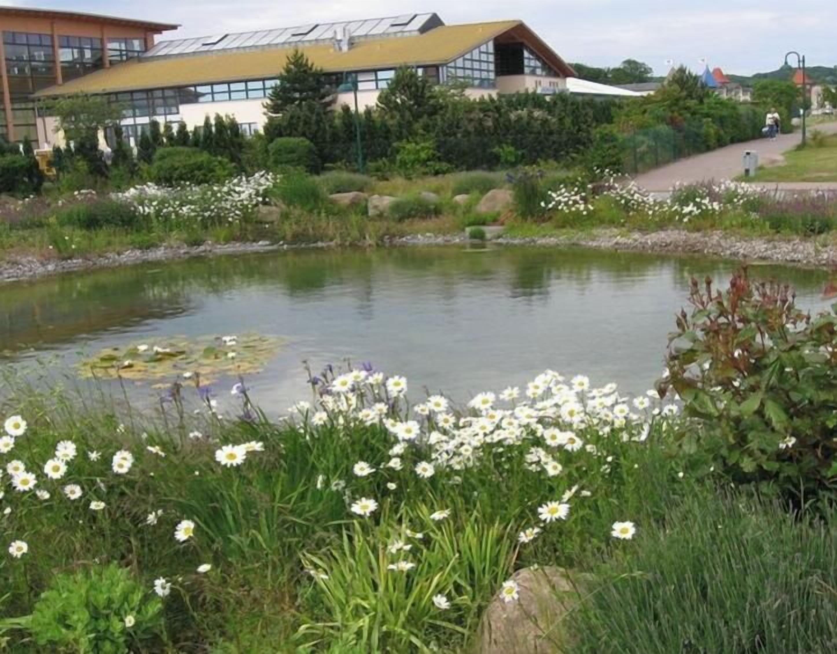 A pond with lily pads and white flowers, surrounded by greenery and a building with a yellow roof.