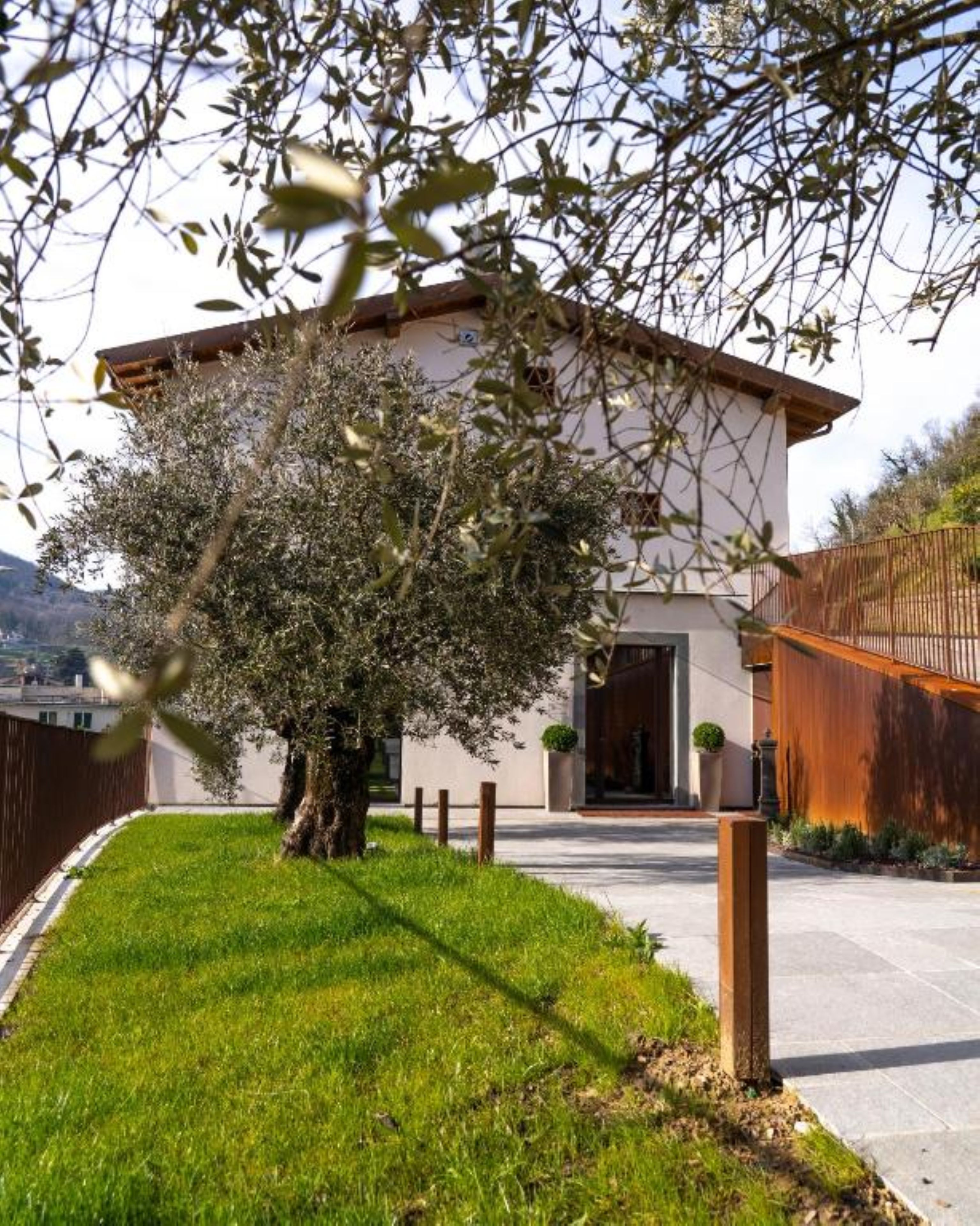 Una casa moderna con un césped cuidado y un gran árbol en el jardín delantero.
