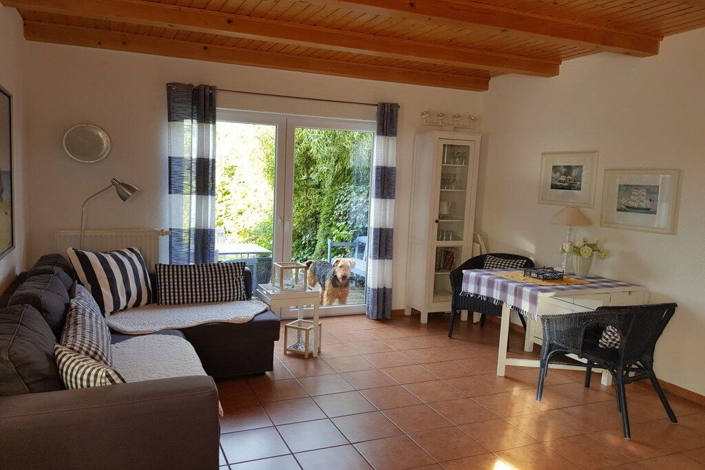 A cozy living room with a sofa, a dining table, and a dog visible through the window.