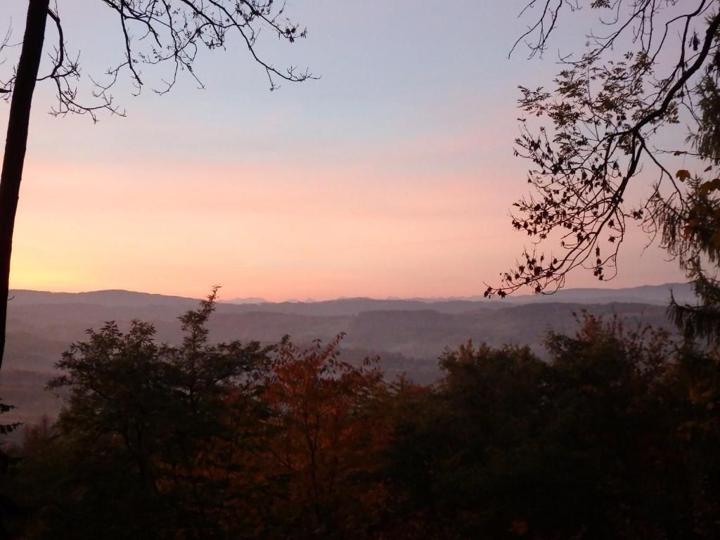 A landscape view with trees and distant hills.