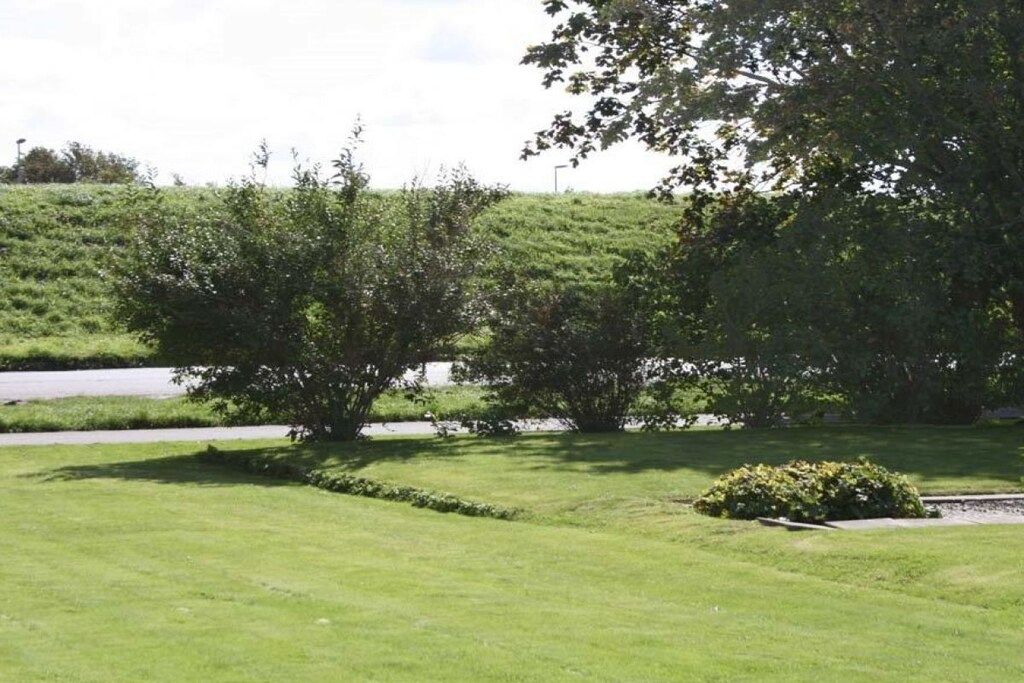 Un área verde bien cuidada con árboles y cielo despejado.