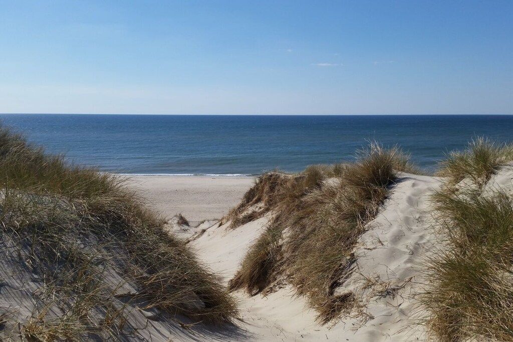 Ein Strand mit Dünen und freier Sicht auf den Ozean.