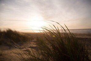 A beach scene with dunes and grasses. - Holiday apartment with 2 bedrooms (Norderney)