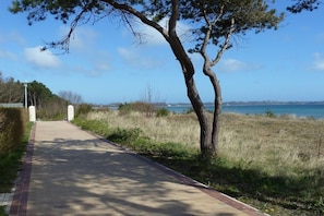 A paved pathway leading to a body of water, flanked by grass and trees. - Holiday apartment with 2 bedrooms (Breege\/ Juliusruh OT Juliusruh)