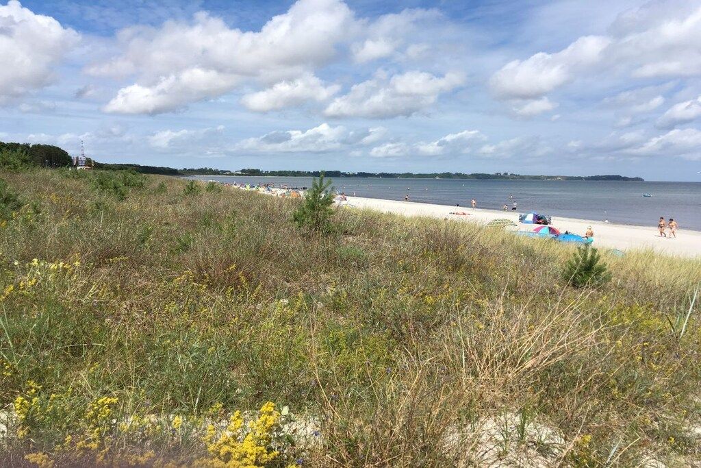 Ein Strand mit Sand, spärlicher Vegetation und blauem Himmel.
