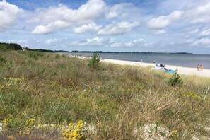 Une plage de sable, avec une végétation clairsemée et un ciel dégagé.