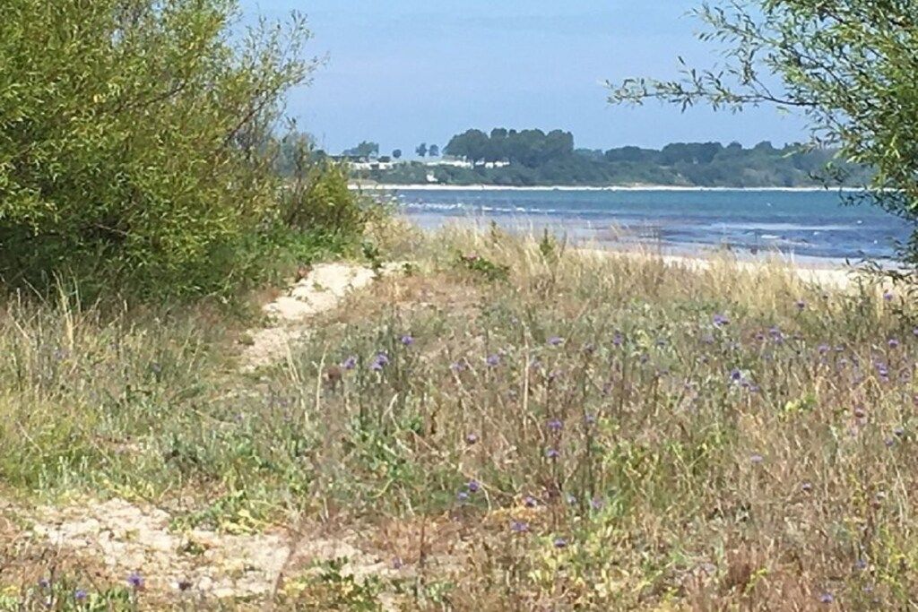 Un sentier côtier qui mène à une plage bordée de végétation, d’où l’on aperçoit une ville au loin.