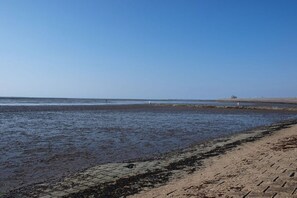 Ein Strand mit blauem Himmel, sandigem Ufer und ruhiger See.