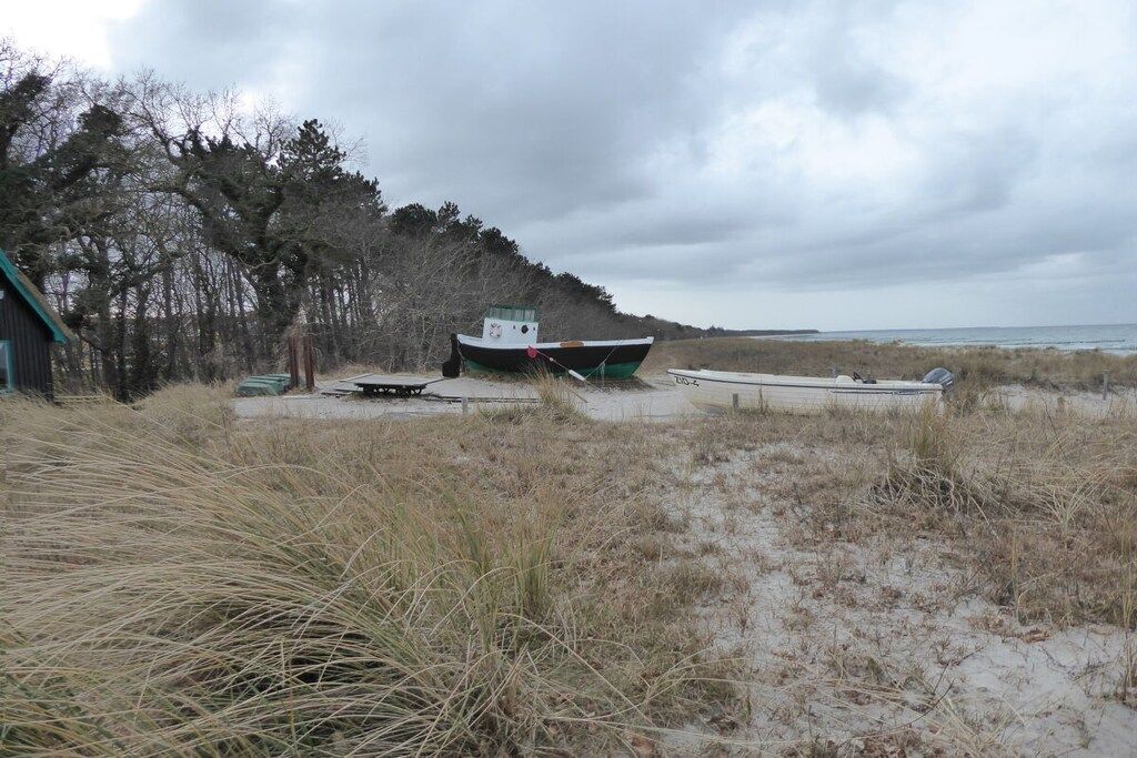 Une plage avec des bateaux, une structure en bois et une zone boisée.