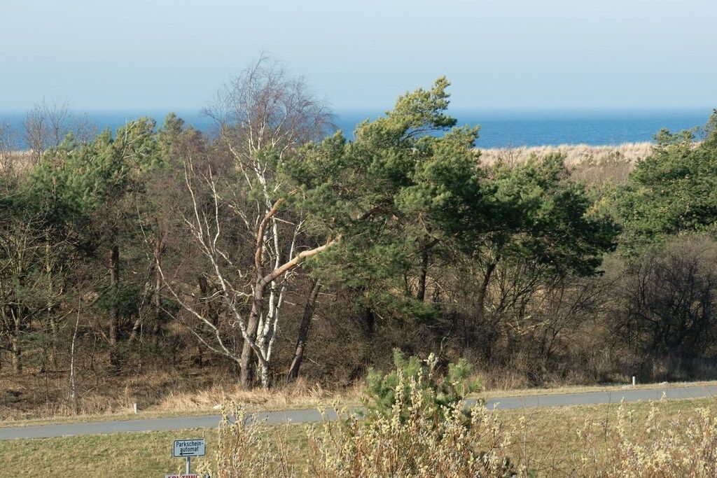 A road with a sign indicating a park area.