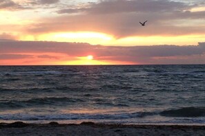 A sunset over the ocean with waves and a bird in flight. - Holiday apartment with 1 bedroom (Dierhagen)