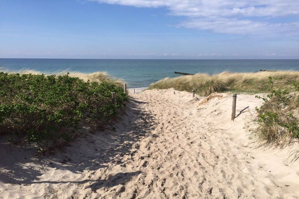 A sandy beach path leading to the ocean with vegetation on the sides.
