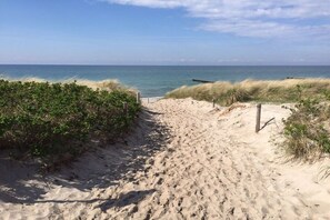 Ein sandiger Küstenpfad führt zum Meer, gesäumt von Vegetation.
