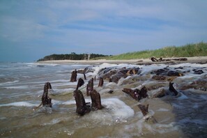 Ein Strand mit Wellen und Treibholz.