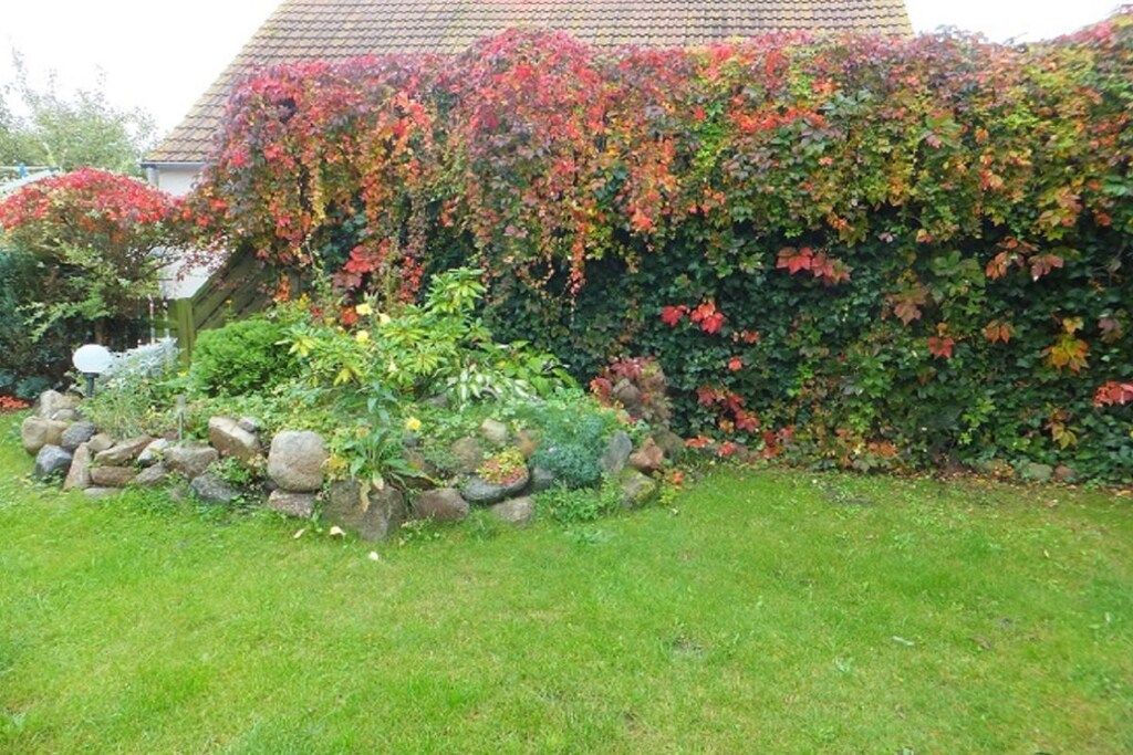 Un jardin où l’on trouve une grande variété de plantes et un mur en pierre.