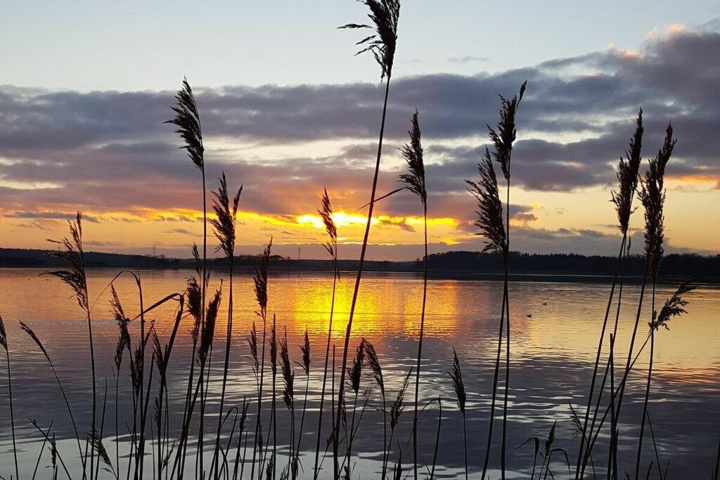 Un coucher de soleil sur une étendue d’eau, avec de hautes herbes au premier plan.