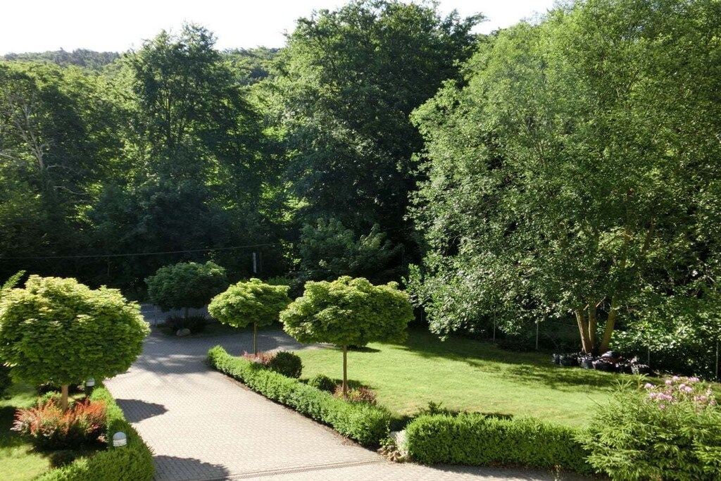 Een verhard pad dat door een aangelegde tuin loopt, met strakke hagen en bomen.