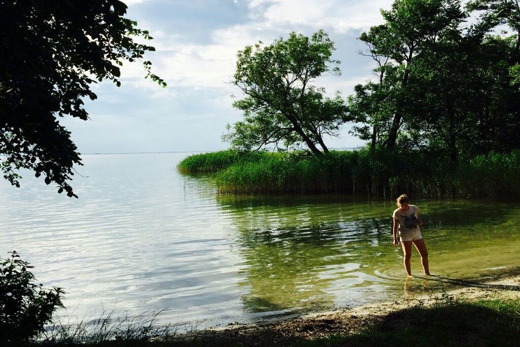 A person standing by a calm body of water surrounded by trees.