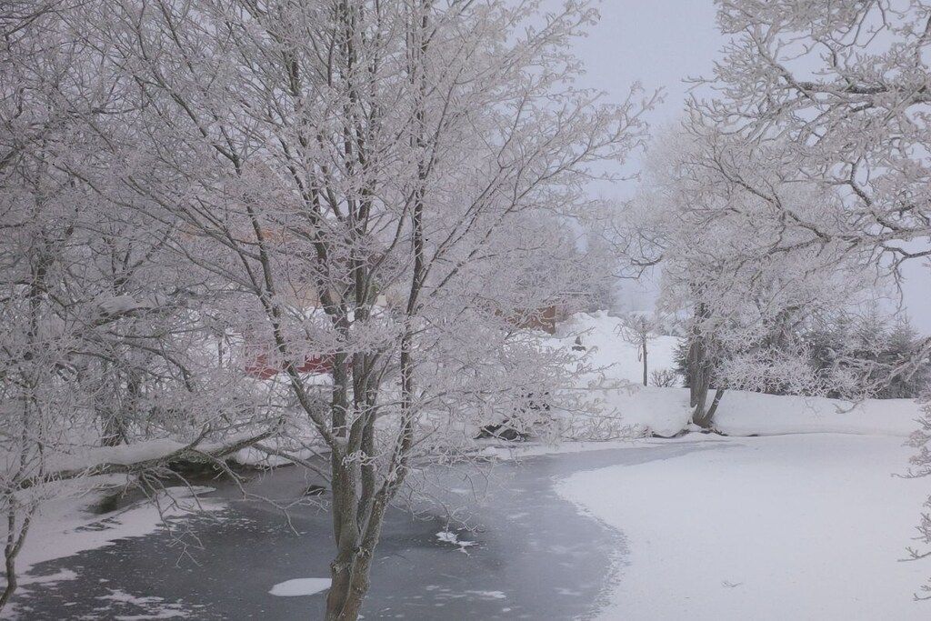 A snow-covered landscape with trees and a frozen body of water.