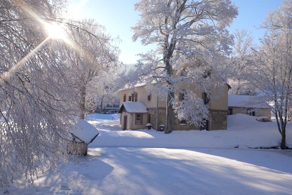 A residential area with snow-covered trees and houses.